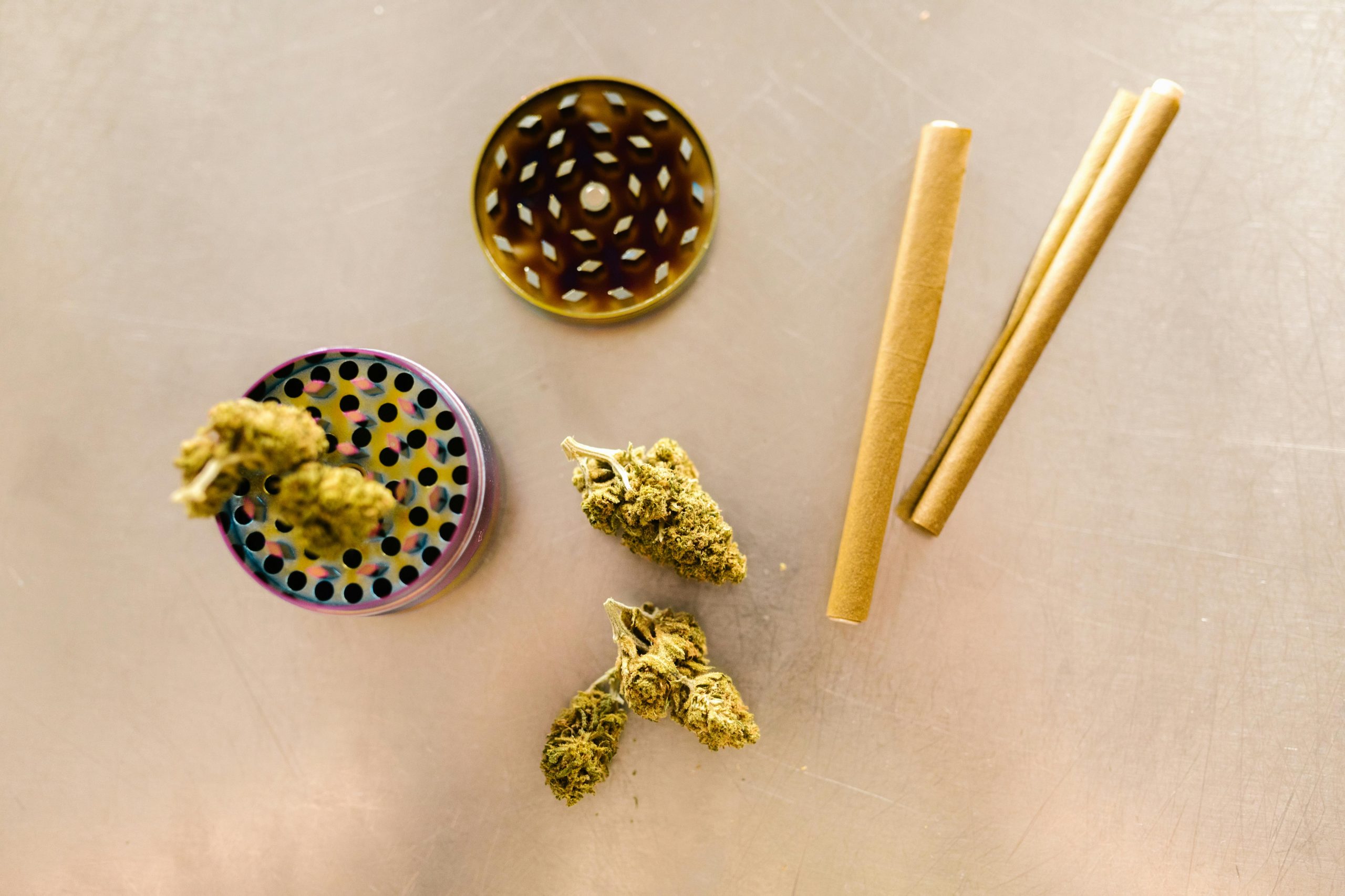 Mitos y Realidades: Derribando Falsas Creencias sobre los Cannabis Social Clubs en España